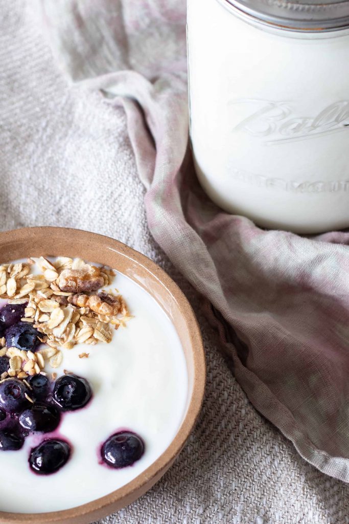 a bowl of homemade yogurt with blueberries and muesli, with a jar of fresh yogurt on the side