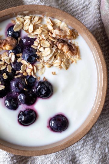 a bowl of instant pot yogurt with blueberries and muesli