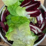 a bowl of salad greens.