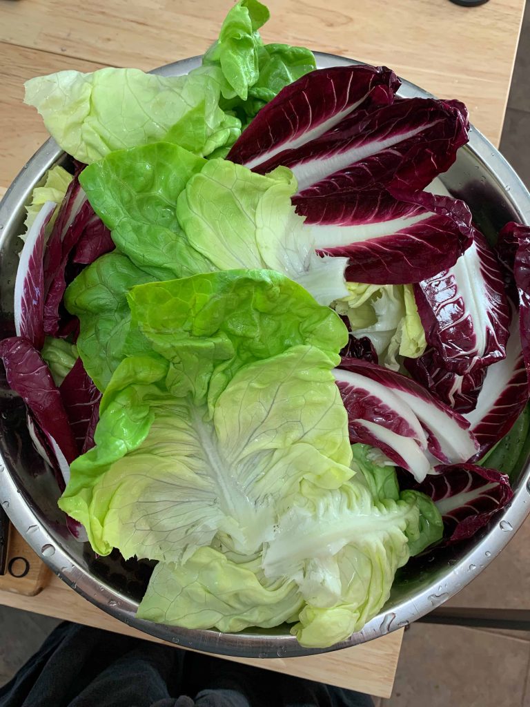 a bowl of salad greens.