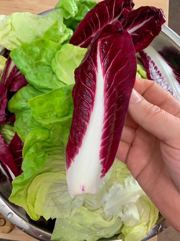 a leaf of treviso radicchio.