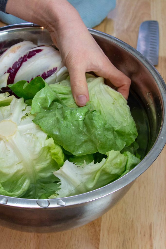 butter lettuce in a large bowl of water.