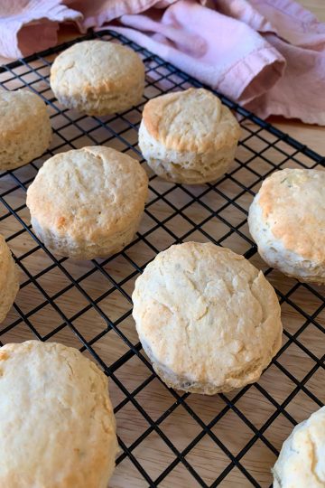 olive oil biscuits cooling on a cooling rack.