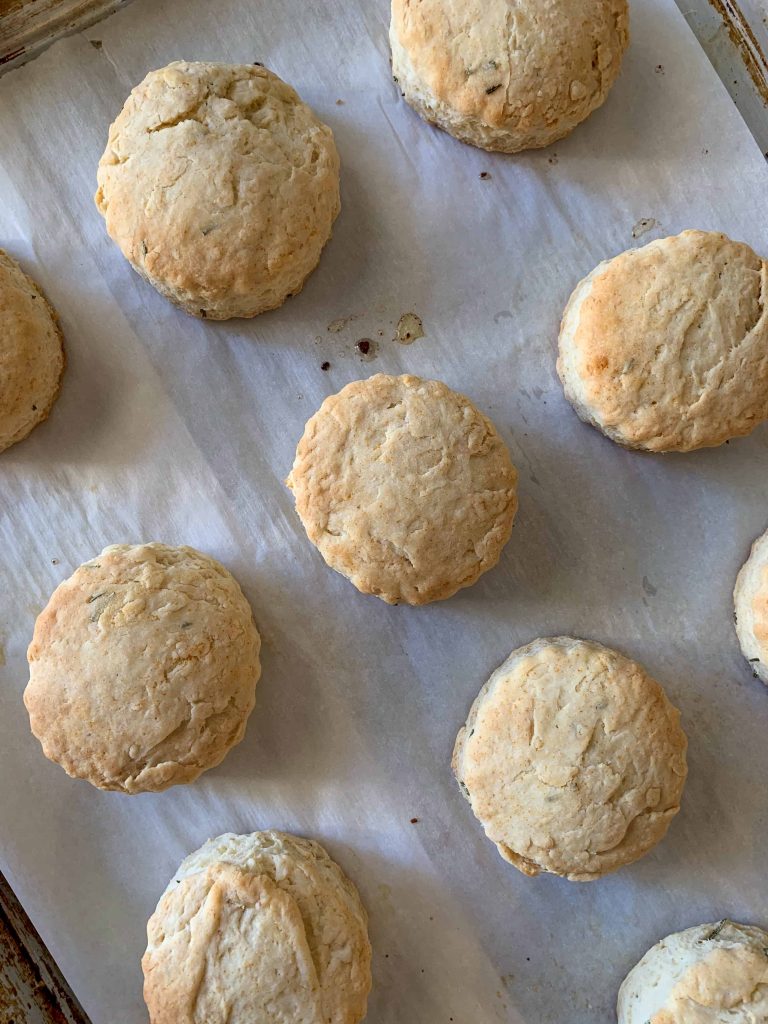 freshly baked olive oil biscuits without butter.