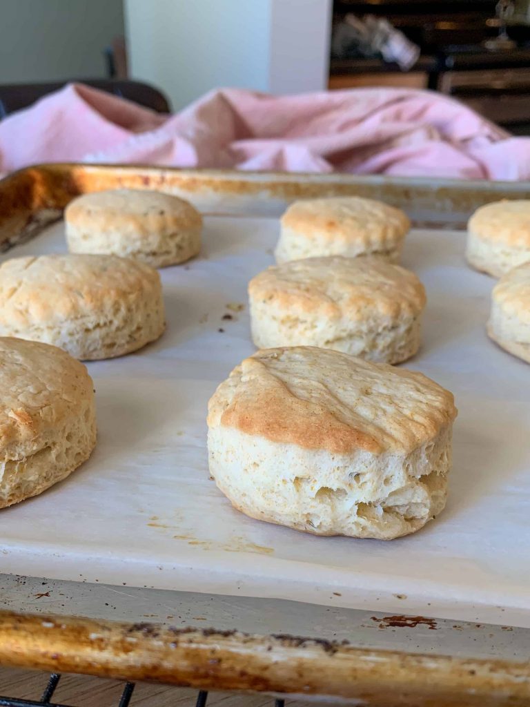 freshly baked olive oil biscuits.