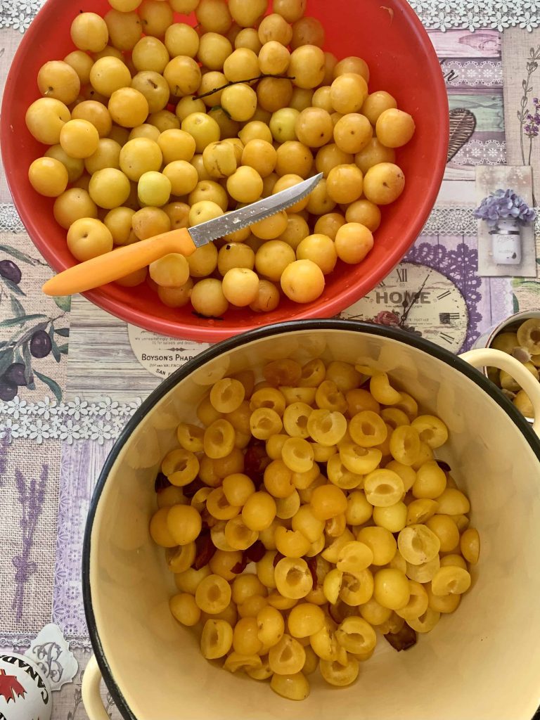 A bowl of yellow plums with a knife, and pitted plums in a large pot.