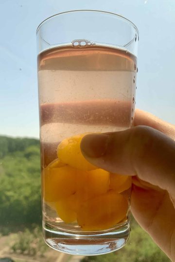 A glass of kompot with blue sky and trees in the background.