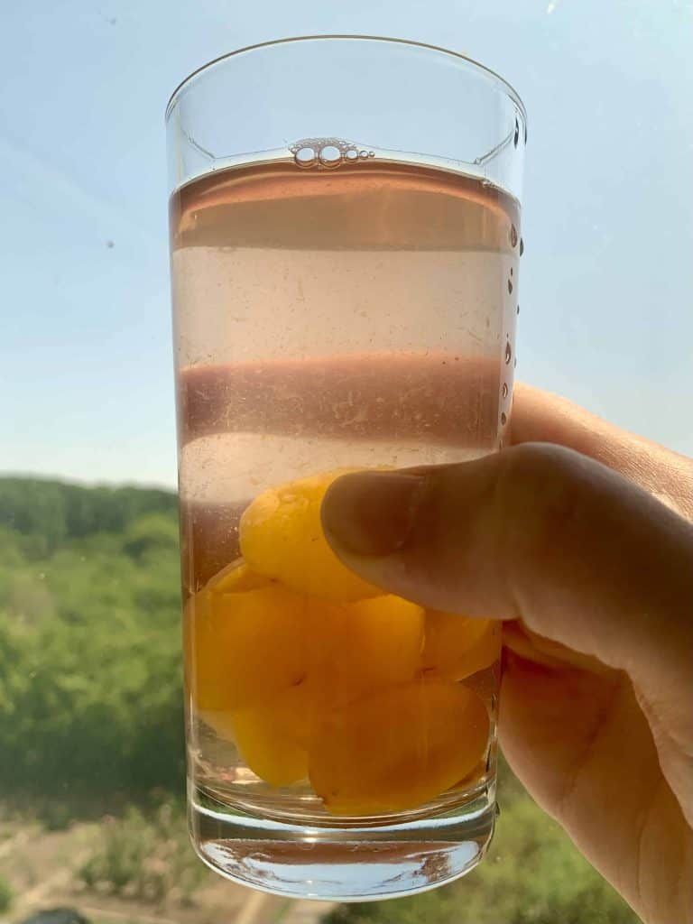 A glass of kompot with blue sky and trees in the background.