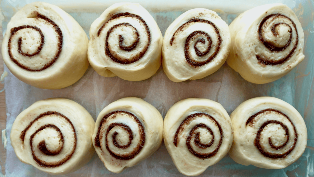 Proofed cinnamon buns ready for the oven.