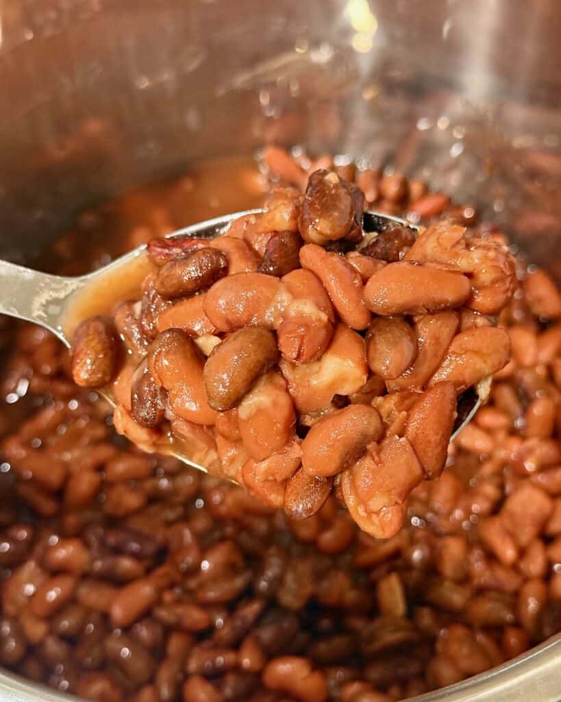 Cooked beans on a spoon, ready to be mashed or blended.