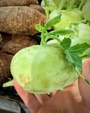 Kohlrabi 101: A Beginner's Guide to This Versatile Vegetable - How To