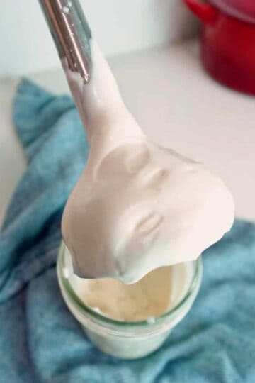 An immersion blender after blending mayonnaise.