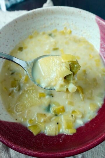 Finished potato leek soup in a red and beige bowl.
