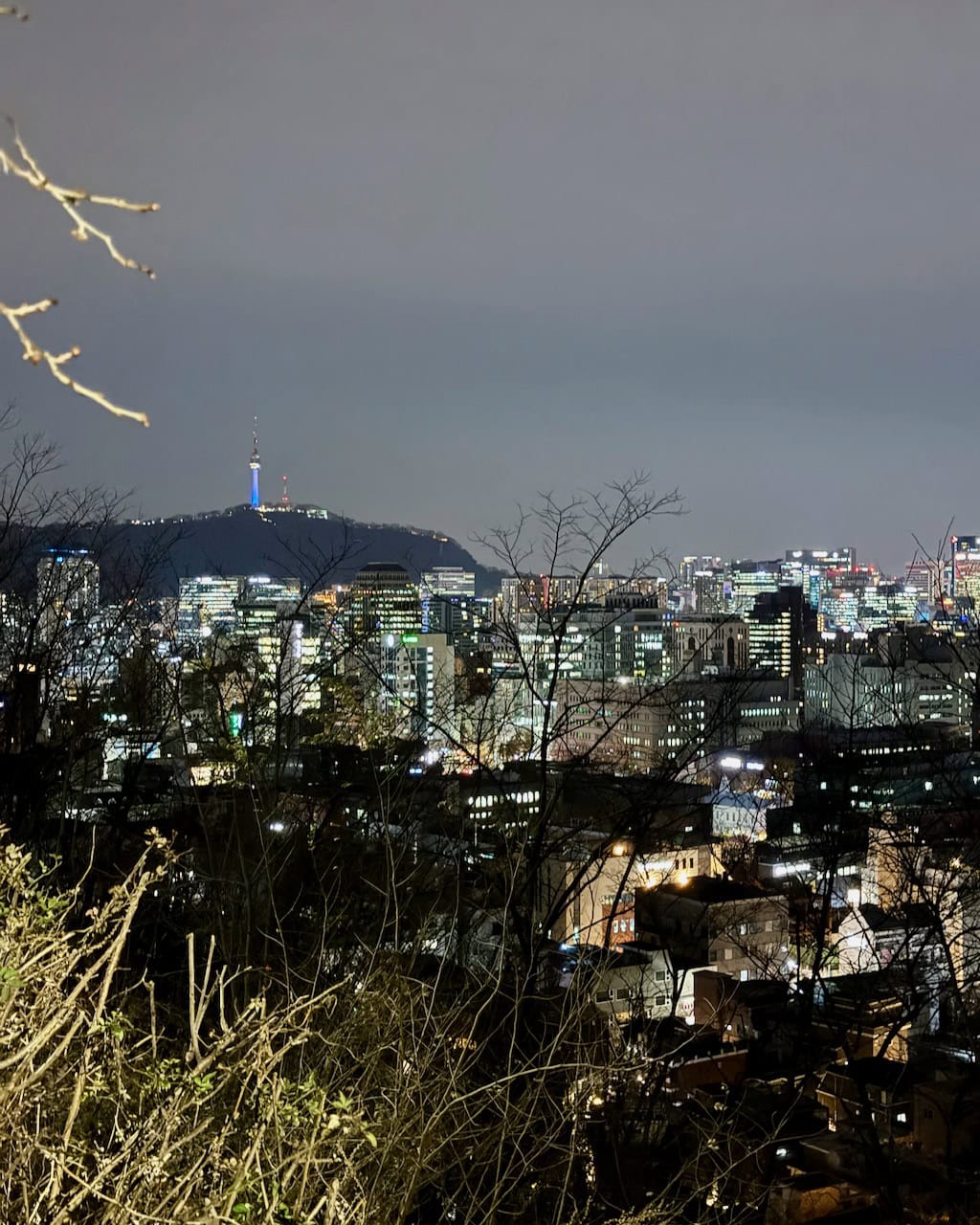 The view of Seoul tower from Naksun Park.
